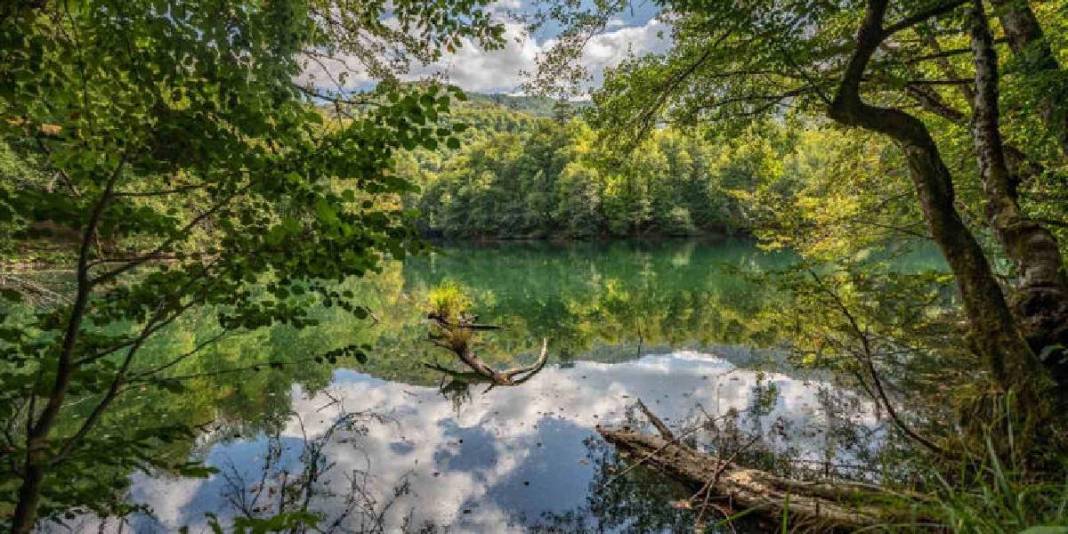 Sonbaharın kalbi burada atıyor! Tüm Türkiye’nin akın ettiği adres: Renk cümbüşü kendini gösterdi 2